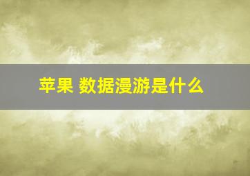 苹果 数据漫游是什么